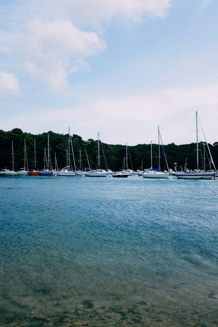 Sail Boats Anchored In The Bay