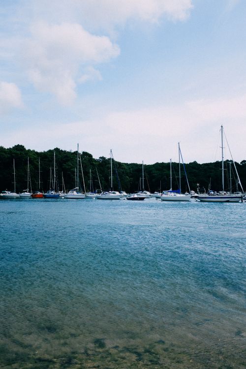 Free A peaceful marina scene featuring several sailboats anchored in a clear blue harbor. Stock Photo