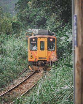 A yellow train travels through dense green foliage on a rural track, capturing nature's tranquility.
