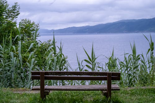 Free A Wooden Bench by the Seaside Stock Photo