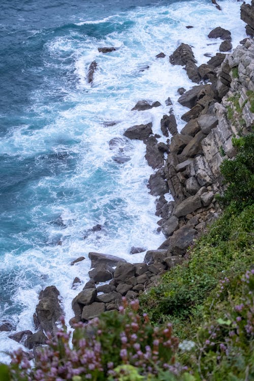 垂直拍攝, 天性, 岩石海岸 的 免費圖庫相片
