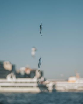 Close-up shot of fishing lures suspended with a harbor backdrop. Ideal for fishing themes.