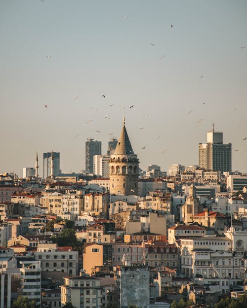 Free Drone Shot of the Galata Tower Stock Photo
