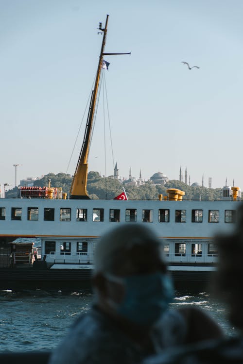 Ferry and Seagull on Coast in Istanbul