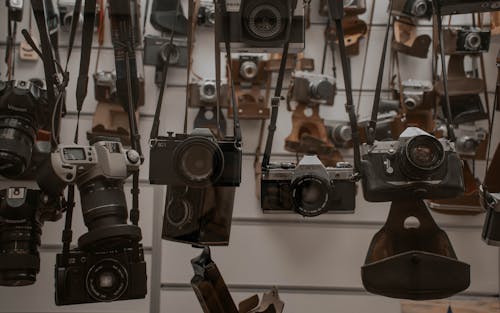 Collection of Analog Cameras