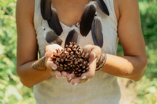 A Person Holding Pine Cones 