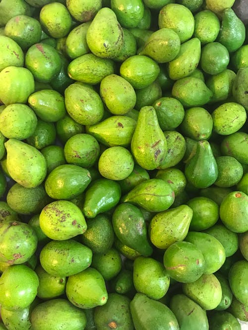 Gratis stockfoto met avocado's, display, eten
