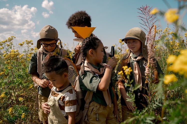 A Group Of Kids Scouting