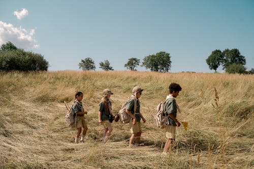 A Group of Kids Scouting