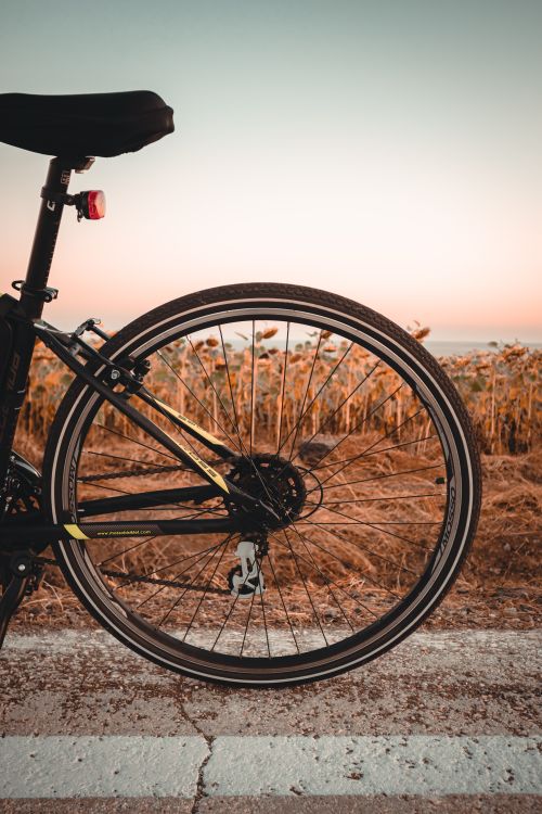 Free Close-up of a bicycle wheel against a sunset background with sunflowers. Stock Photo