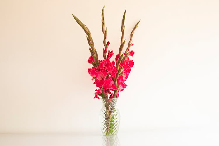 Flowers In A Glass Vase 