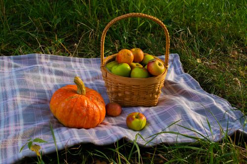 Free A cozy autumn picnic scene with apples in a basket and a pumpkin on a plaid blanket. Stock Photo