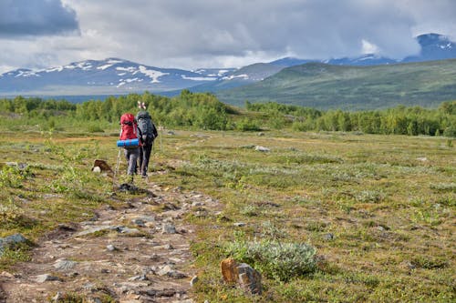 Back View of People with Backpacks Hiking in Mountains 