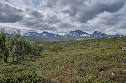 Gratis arkivbilde med åker, fjell, gressmark