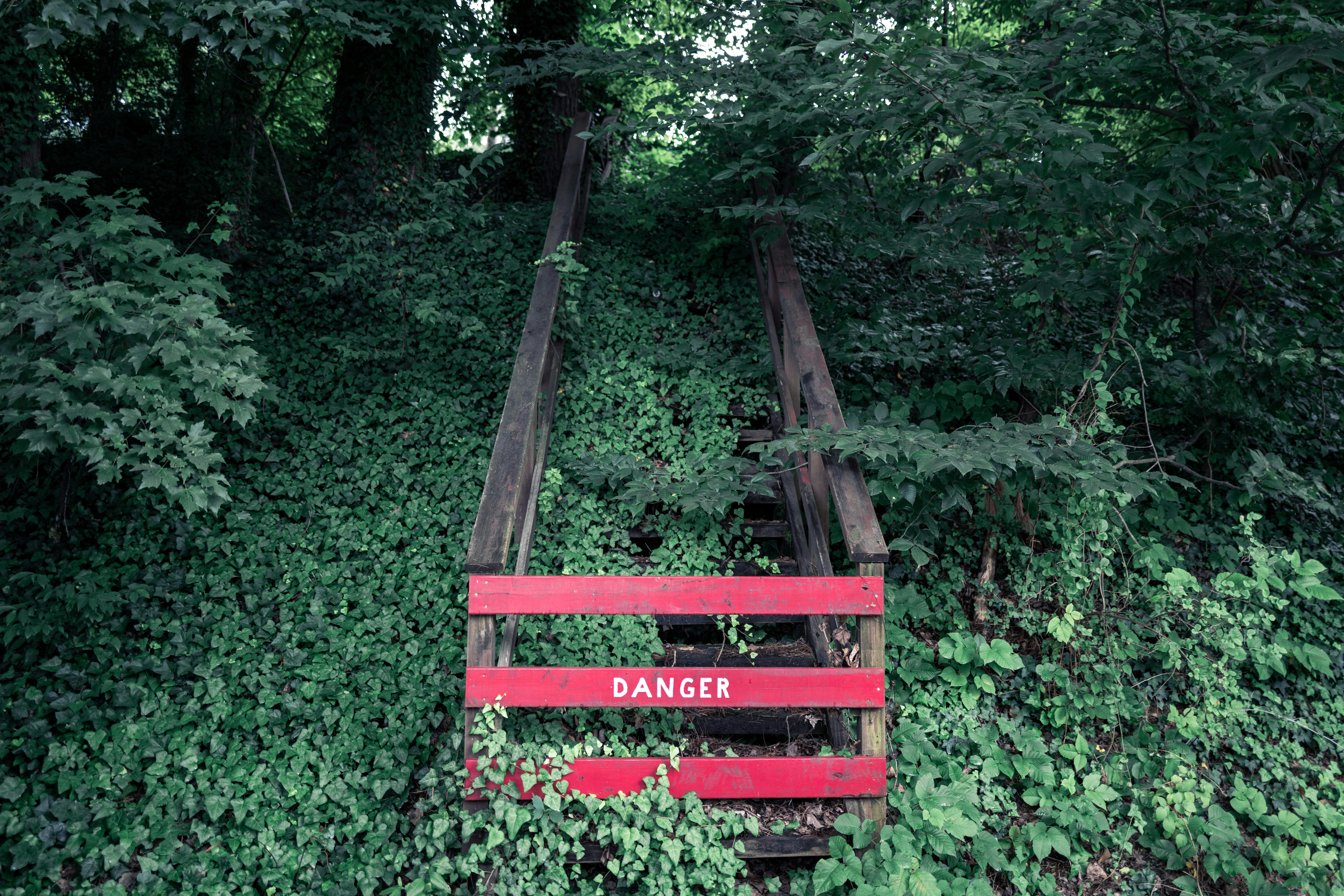 Evidence Review and Biological Mechanisms of Detox Teas