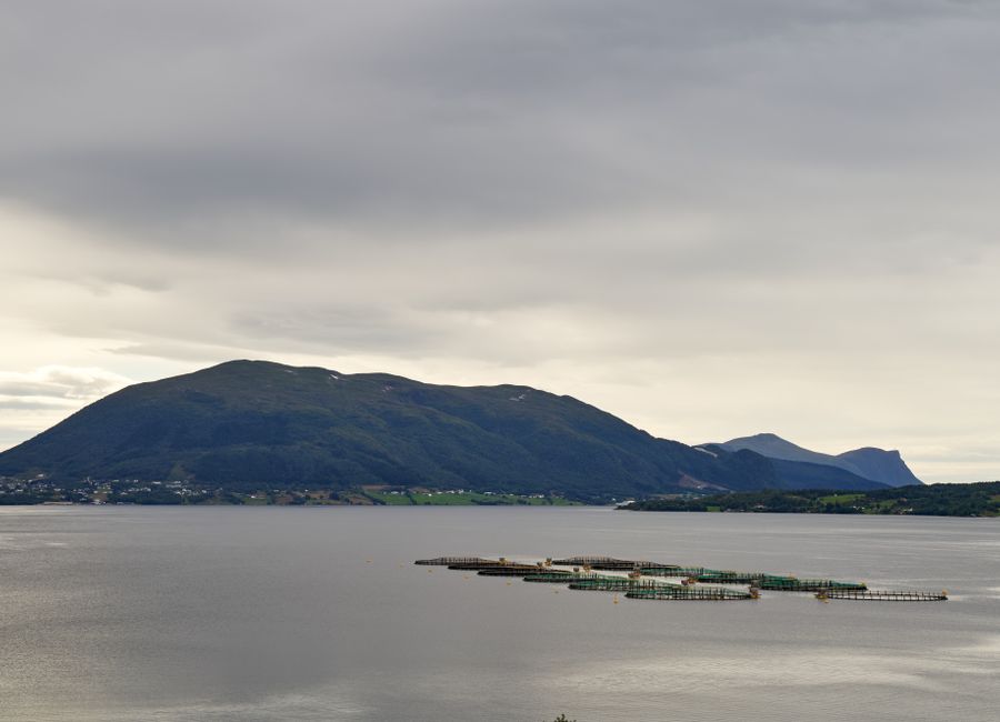 Aerial coastal scene with mountains and fish farms under a cloudy sky, showcasing tranquility.