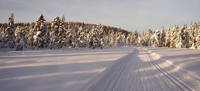 Snow-covered road illustrating a guide for moving to Canton