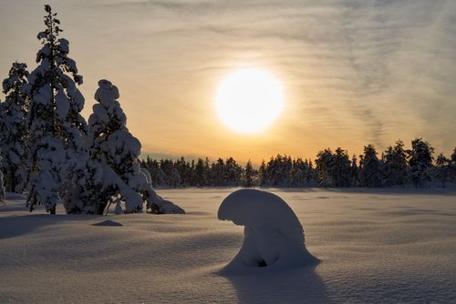 Free A peaceful winter scene with snow-covered trees and a stunning sunset, capturing the beauty of nature. Stock Photo