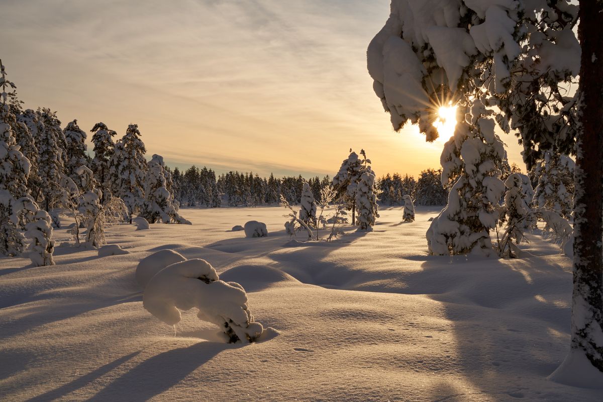 Why do we have seasons?