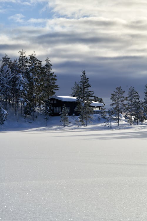 A Snow Covered House near Trees under a Cloudy Sky