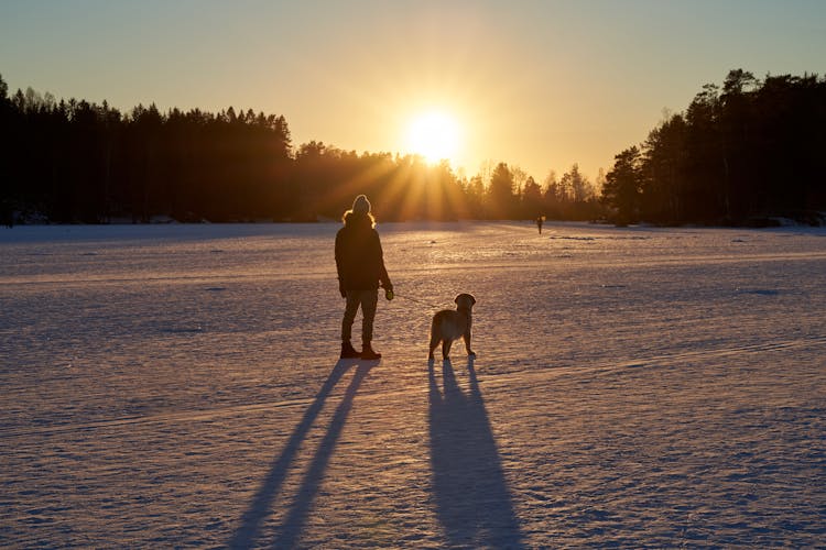 A Person With Dog Standing On The Snow During Sunset