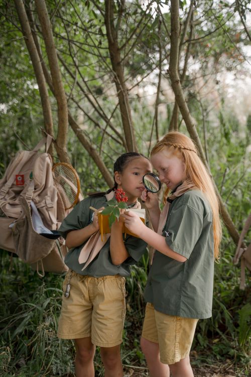 Free Young scouts examine plants outside, fostering curiosity and learning. Stock Photo