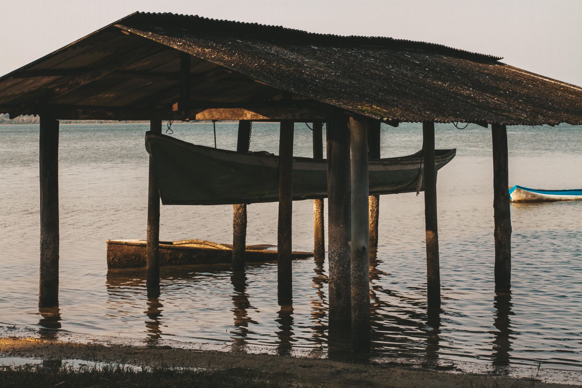 Fever trees and moored boats on the shore of Lake Naivasha at dusk