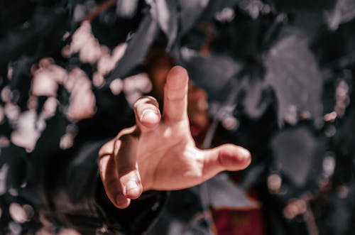 Free Close-Up Photo of a Person's Hand Reaching Stock Photo