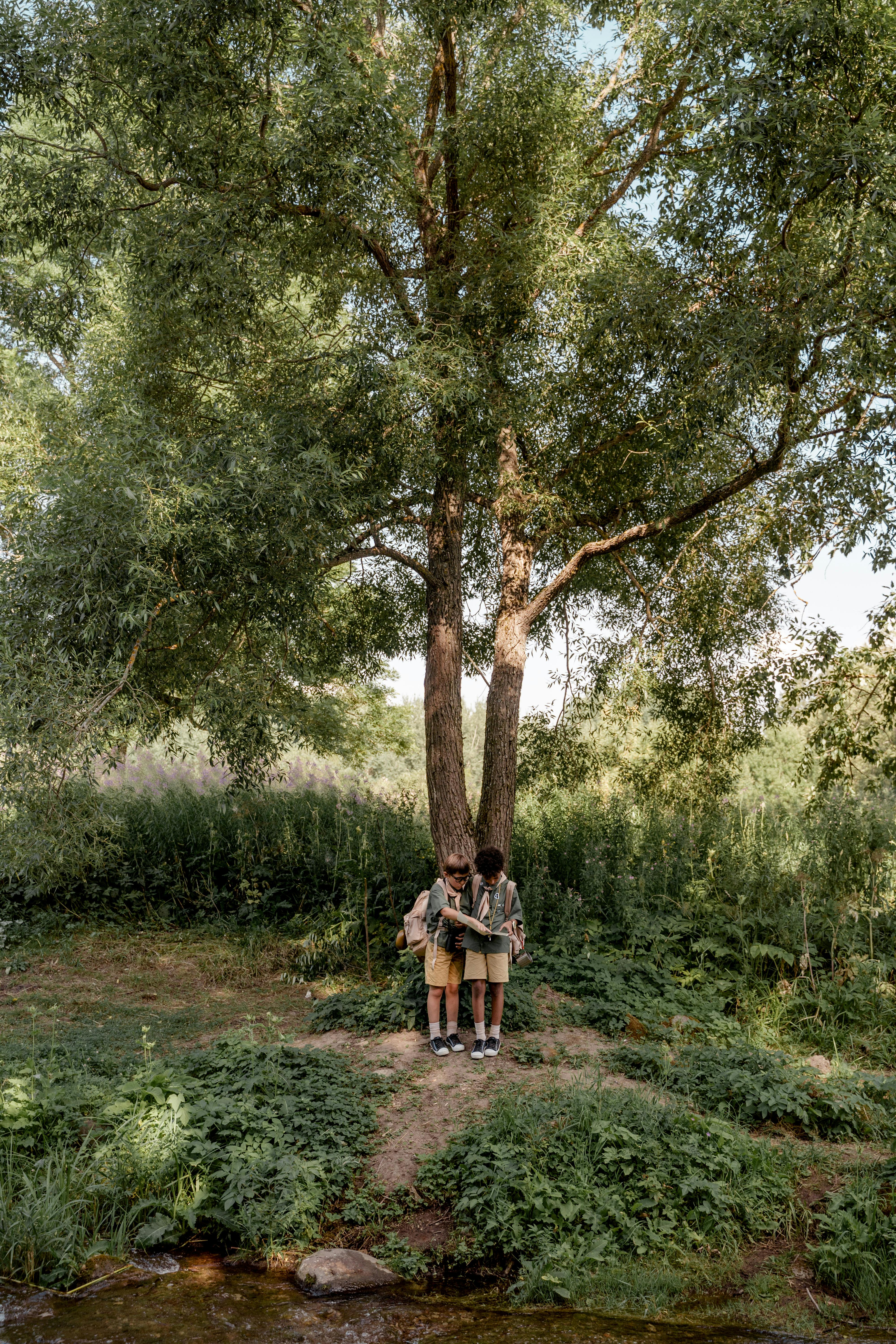 wood landscape people summer