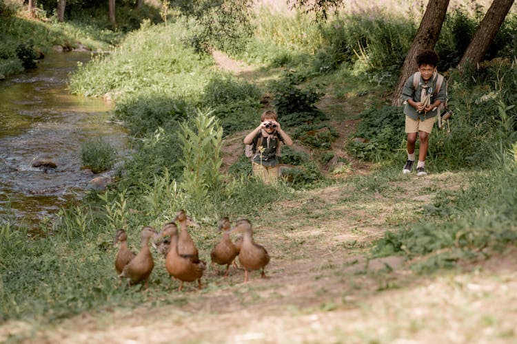 Boy Scouts Following Wild Ducks