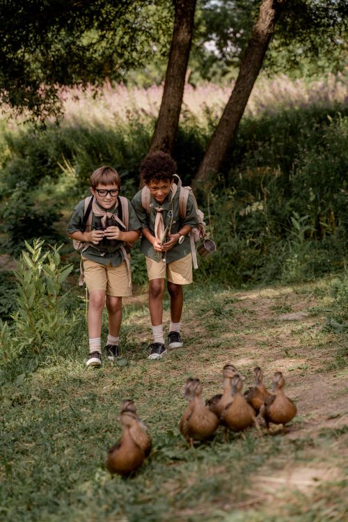 Scouts Walking behind Ducks · Free Stock Photo