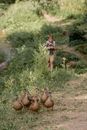 Brown and Black Birds on Green Grass