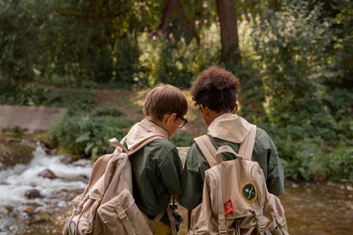 Free Back View of Two Boy Scouts Carrying a Backpack Stock Photo