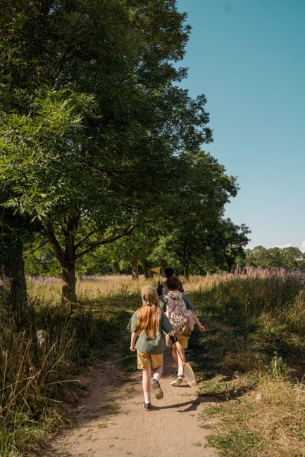 Kinderen op avonturenkamp in het bos in Leuven