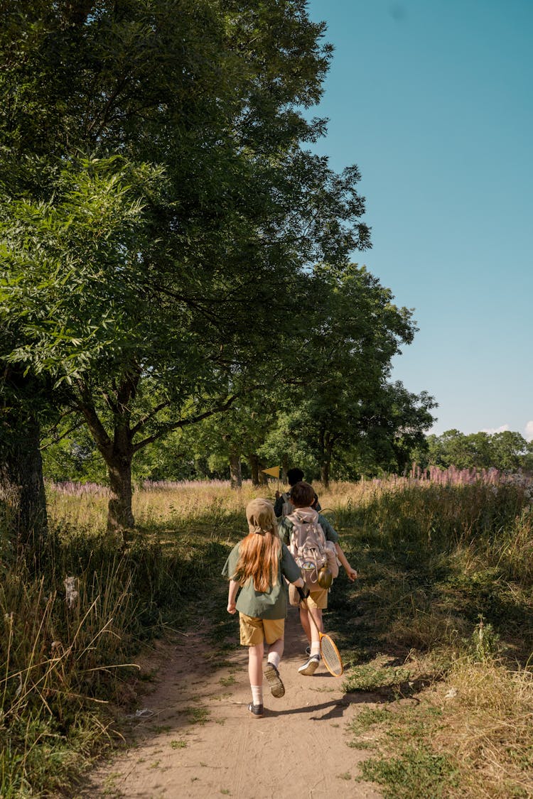 Group Of Children Walking On A Pathway