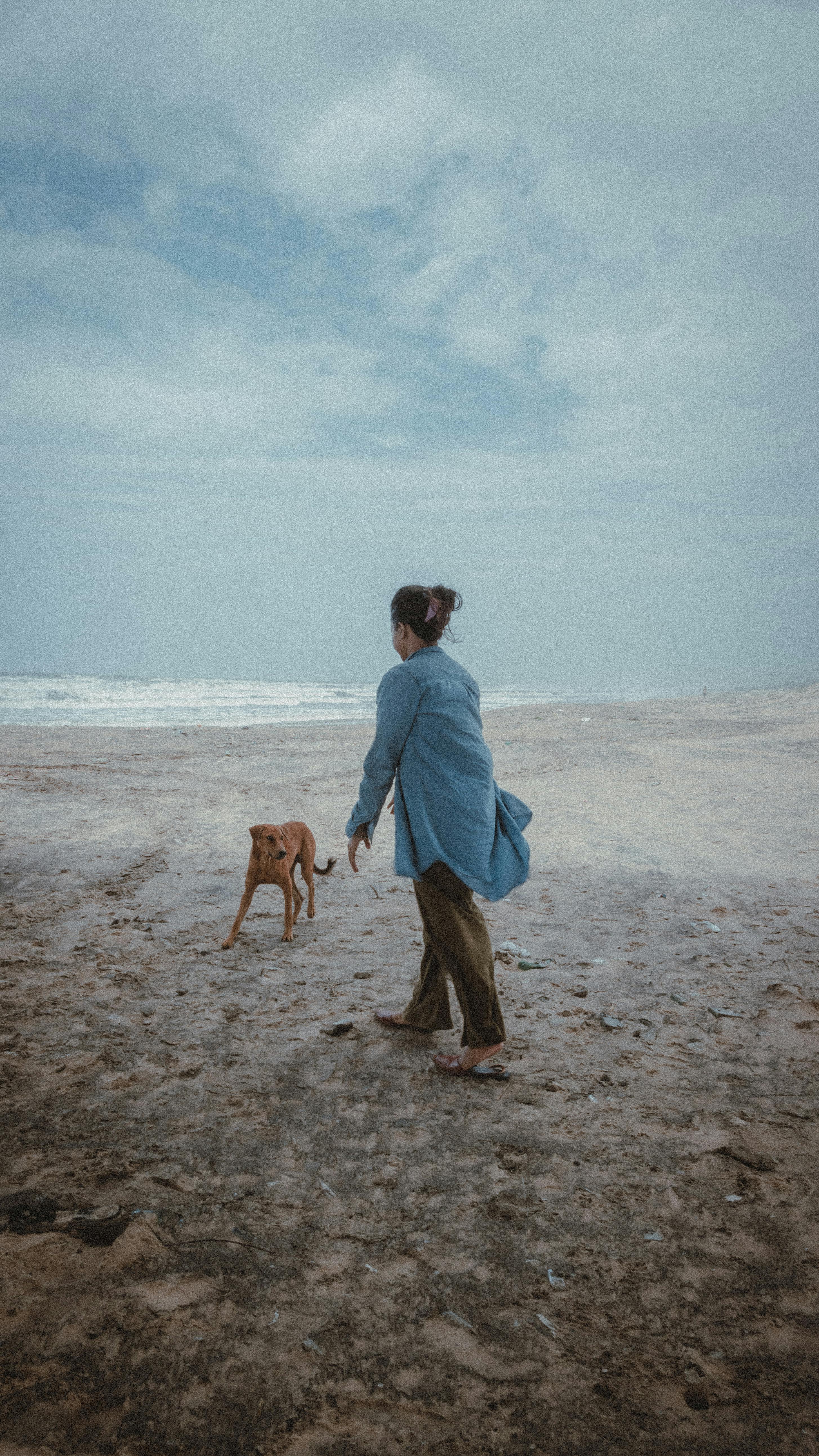 woman with dog on beach