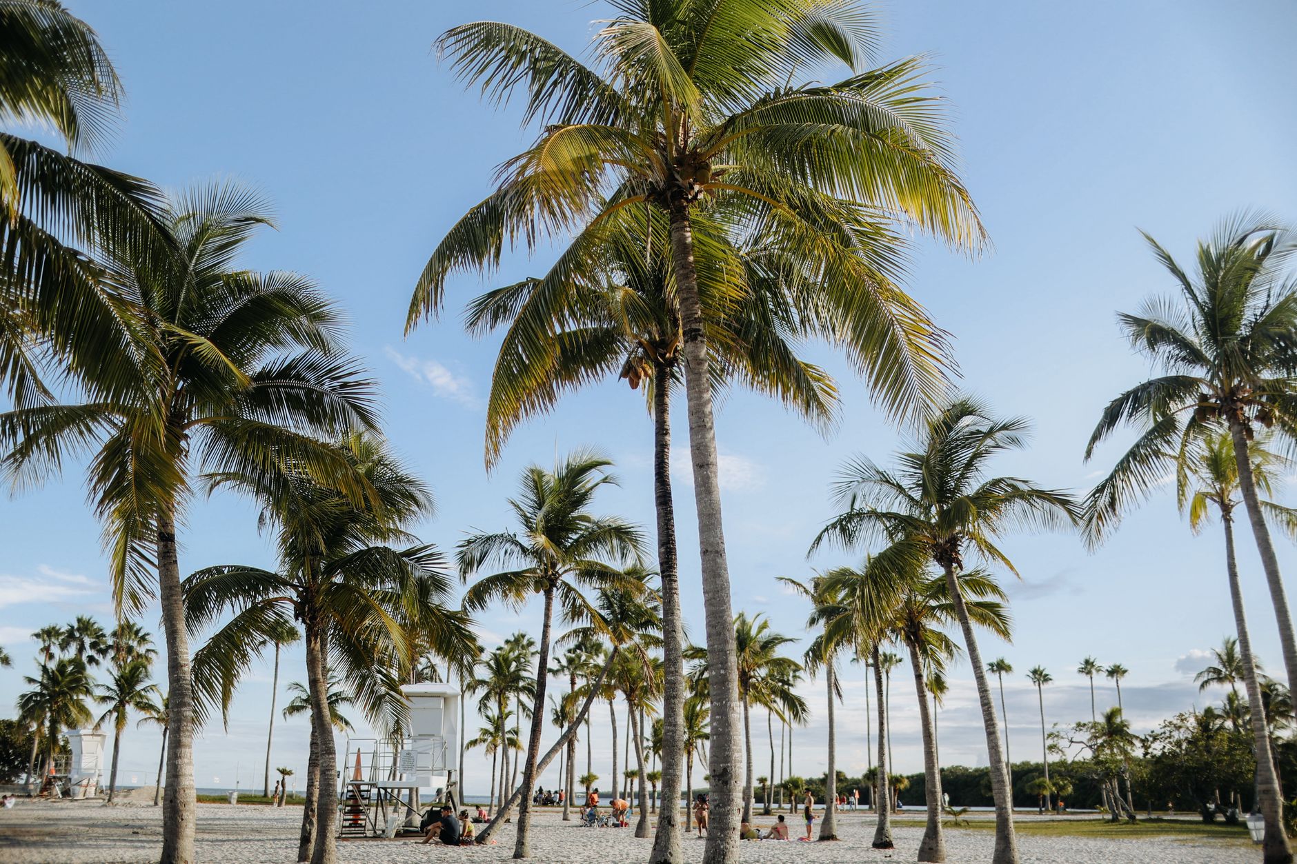 Multi-Generational Family Buying Guide: Purchasing New-Construction Together in Surfside, Miami