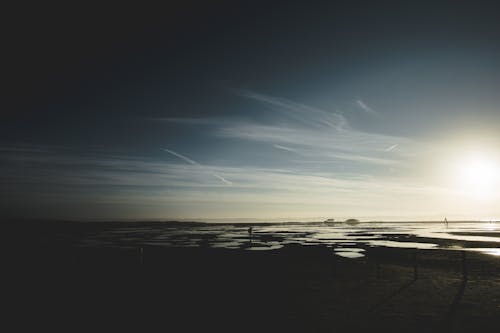 Gratis lagerfoto af fotograf, strand