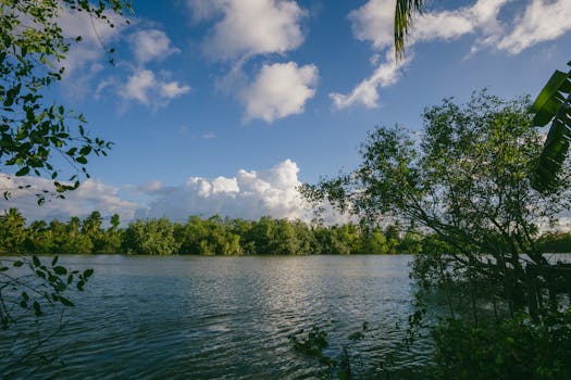 河畔风景如画，绿树成荫，蓝天白云