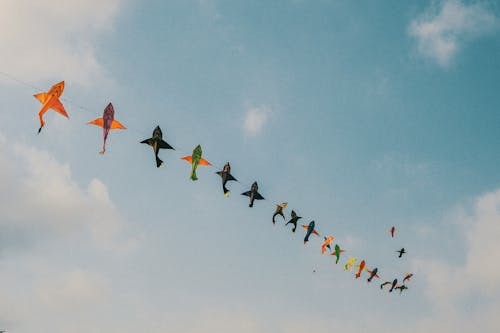 Assorted-color Kites