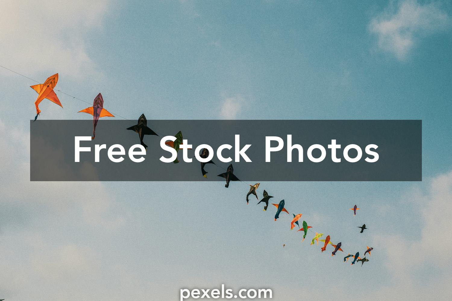 Kite Photos, Download The BEST Free Kite Stock Photos & HD Images