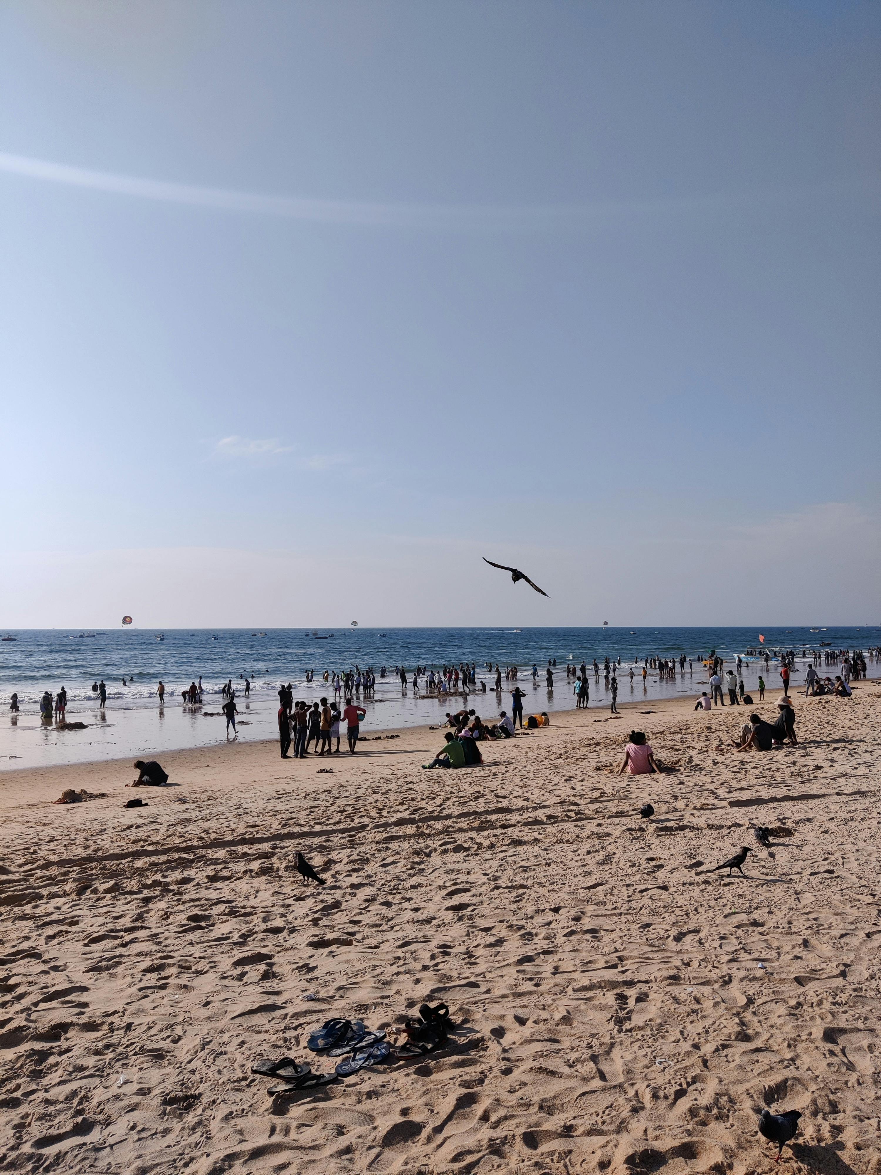 Crowded Calangute Beach in Goa with people enjoying the sunny weather and bird flying.