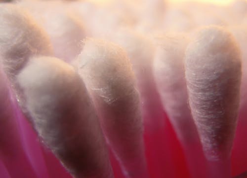 Free stock photo of close-up, cotton, q tip