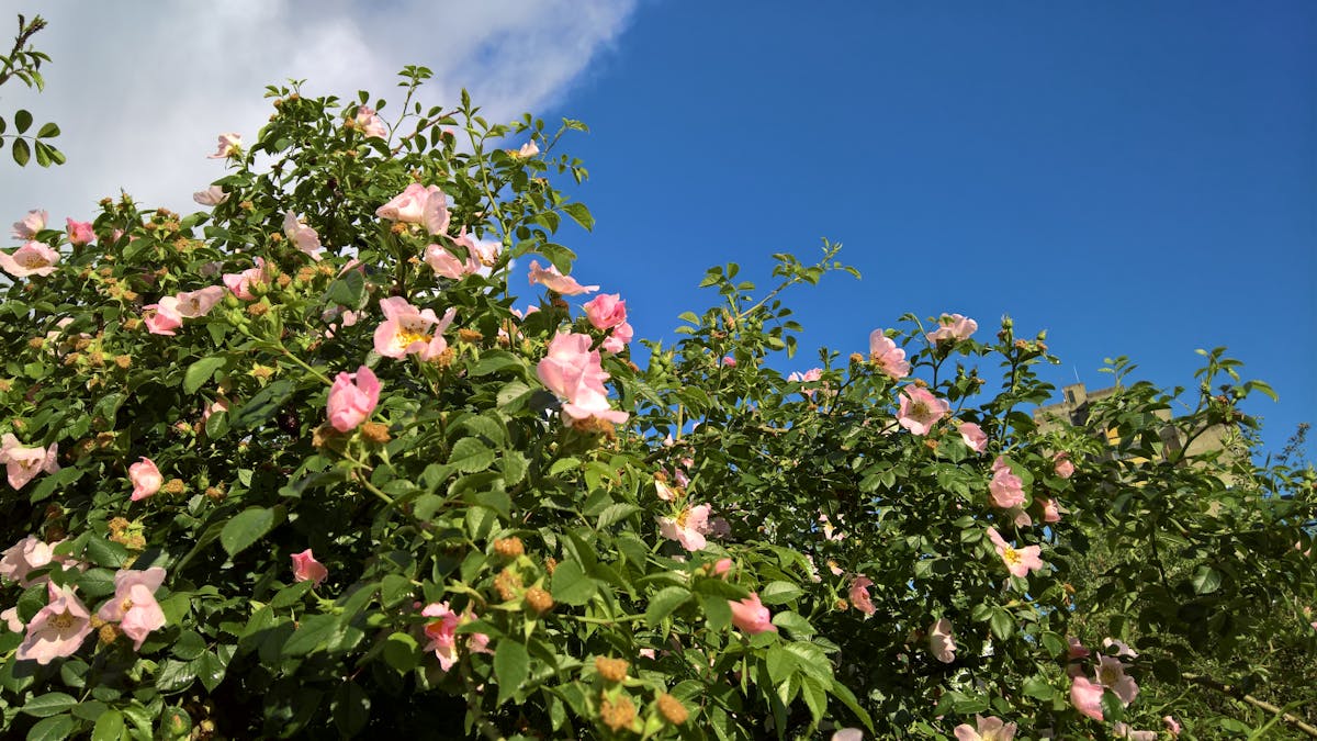 Cluttered room with open window directly facing a busy road