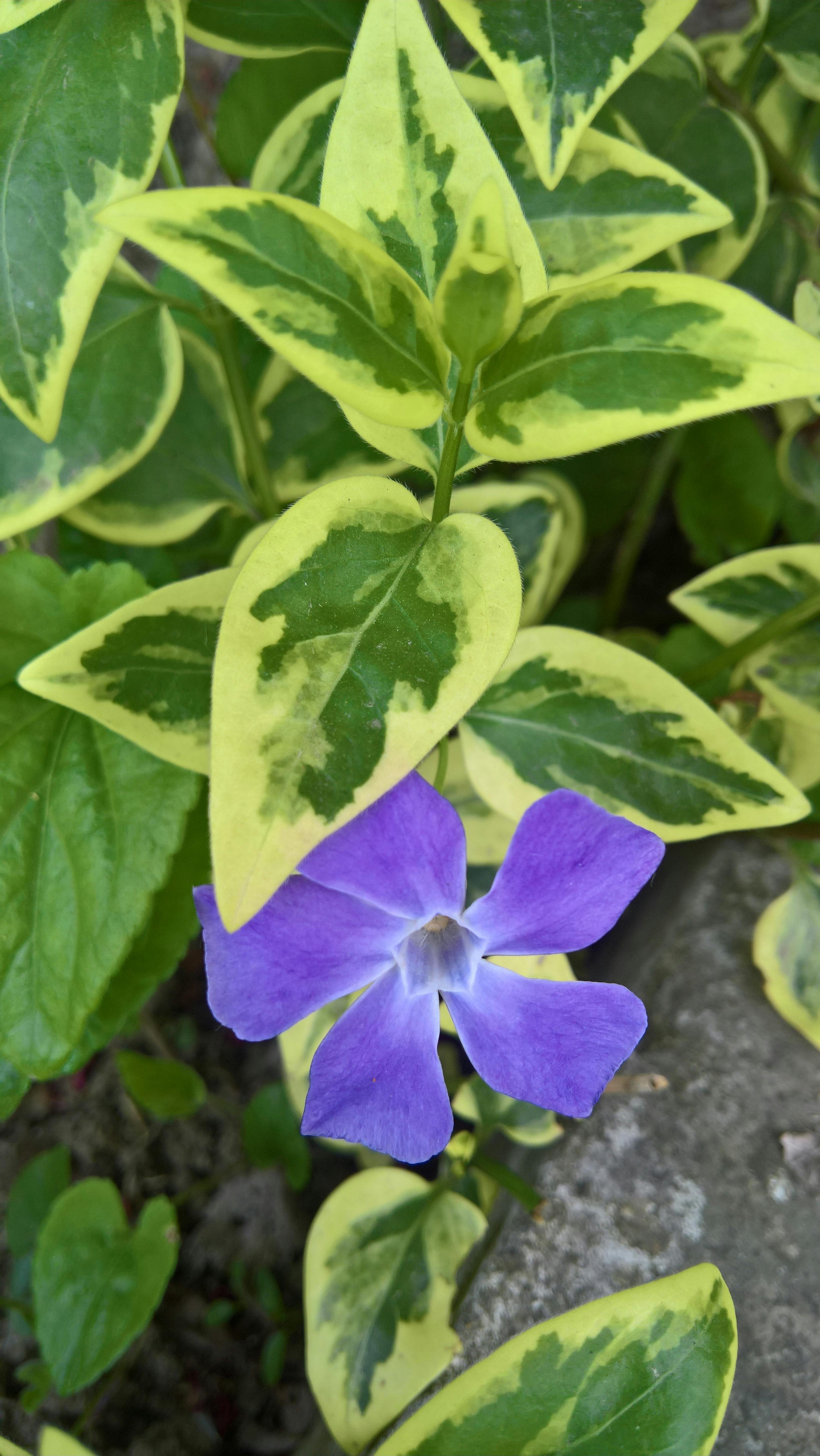 Aerial view of Earth’s atmosphere and clouds seen from space, symbolizing global climate monitoring.