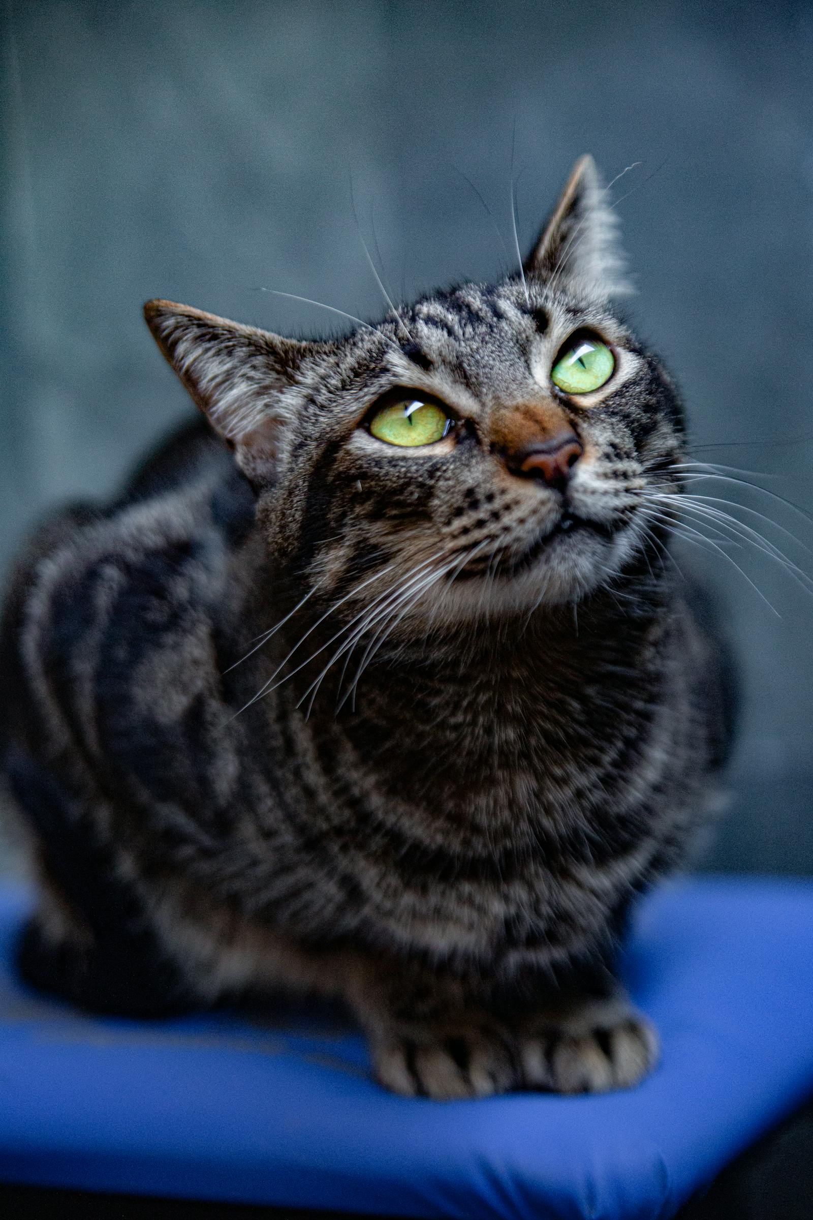 Luchtbehandeling en klimaatregeling in gebouw