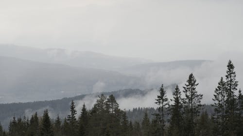 Free 

An Aerial Shot of a Foggy Mountain Range Stock Photo