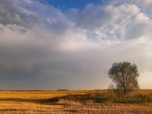 Бесплатное стоковое фото с за городом, облачное небо, окружающая среда