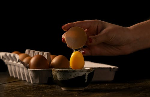 Kostnadsfria Kostnadsfri bild av ägg, äggbricka, äggskal Stock foto
