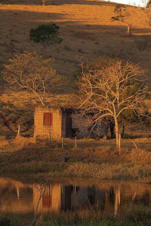 Photo of a Building Near a Bare Tree